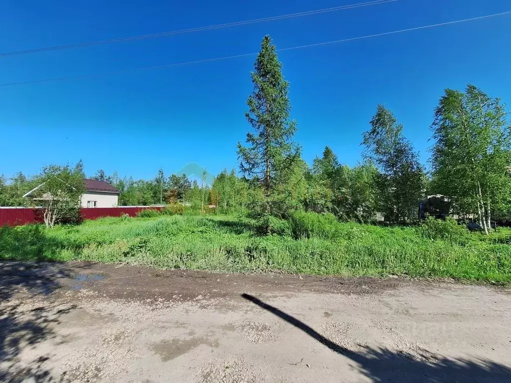 Участок в Ленинградская область, Гатчинский район, Дружная Горка ... - Фото 2
