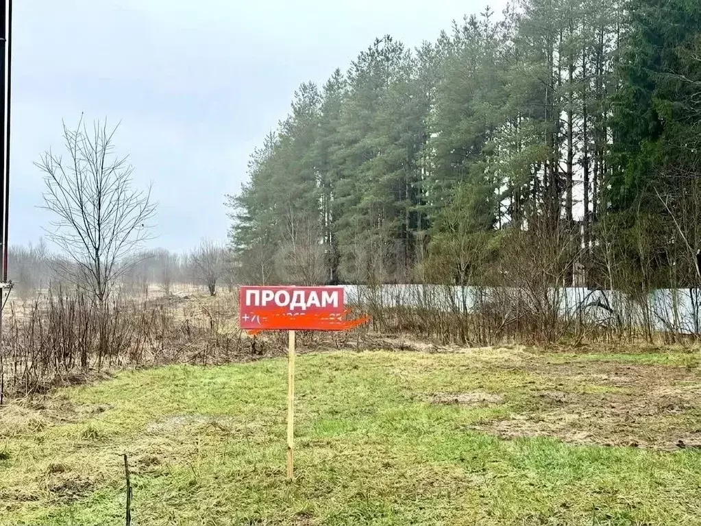 Участок в Ленинградская область, Ломоносовский район, Лопухинское ... - Фото 1
