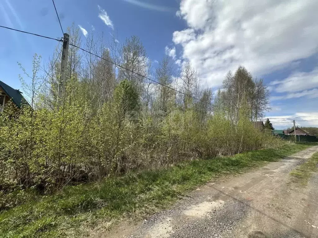 Участок в Ярославская область, Некрасовский муниципальный округ, ... - Фото 0
