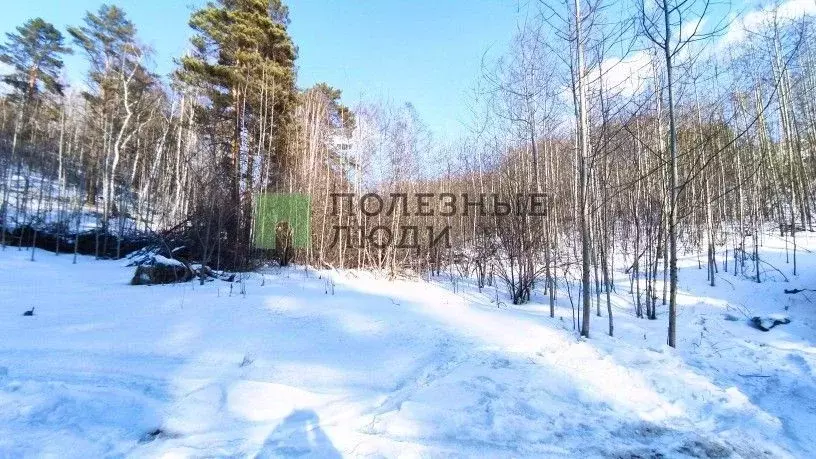 Участок в Иркутская область, Иркутский муниципальный округ, Излучина ... - Фото 0