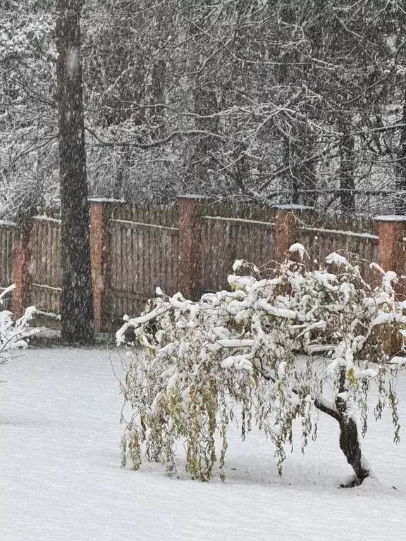 Участок в Москва № 101 кв-л, 4с9 (39.0 сот.) - Фото 2