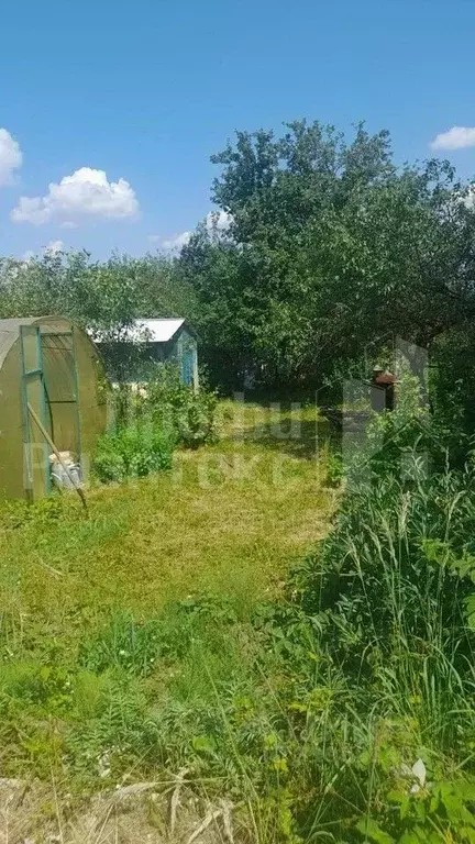 Участок в Нижегородская область, Нижний Новгород СНТ Маяк-Приокский ... - Фото 0