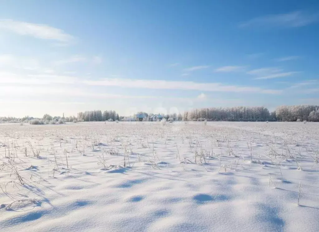 Участок в Московская область, Коломна городской округ, д. Шапкино  ... - Фото 1