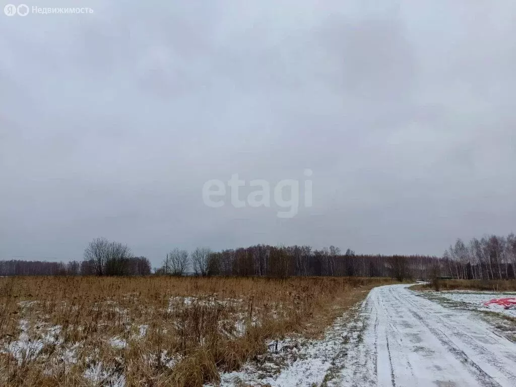 Участок в Тула (92000 м) - Фото 1