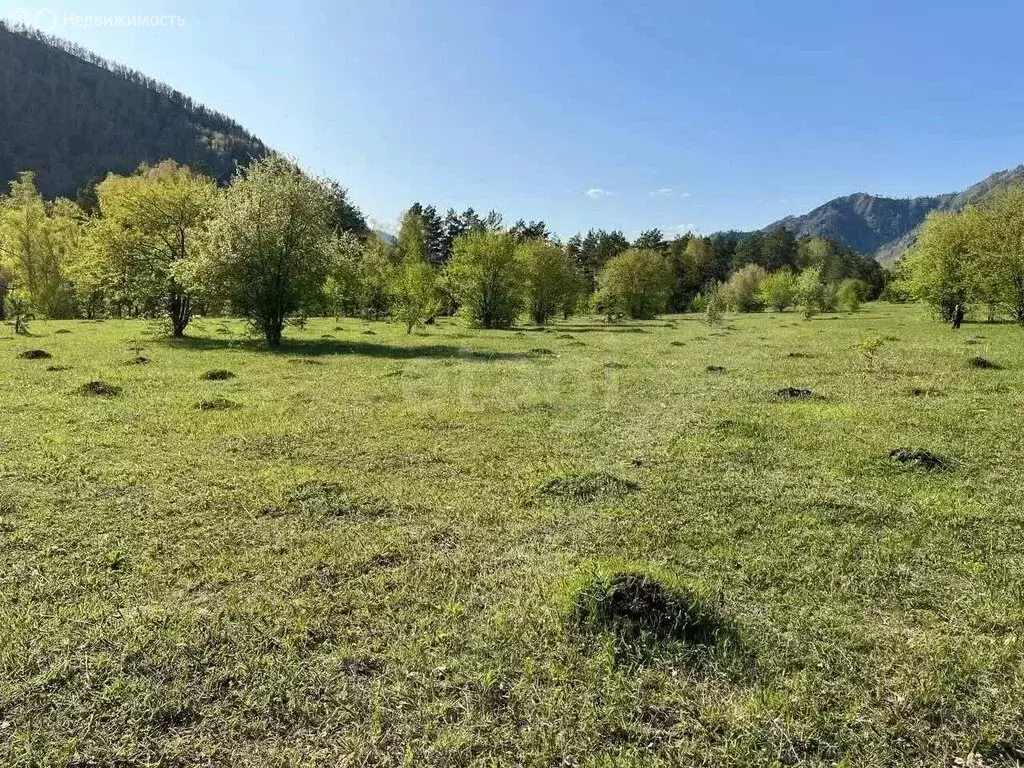 Участок в село Узнезя, переулок Медуница (12 м) - Фото 1