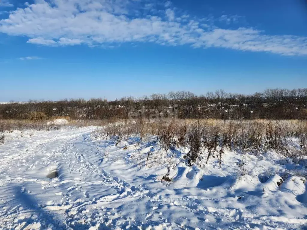 Участок в Белгородская область, Белгородский район, Никольское с/пос, ... - Фото 0