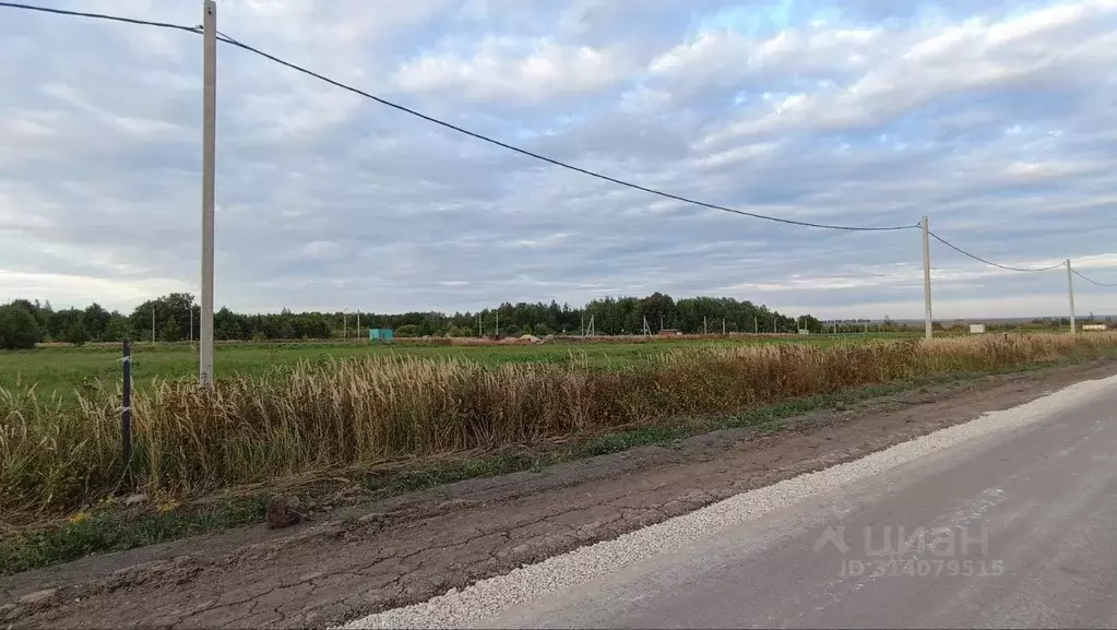 Участок в Мордовия, Кочкуровский район, с. Булгаково  (30.0 сот.) - Фото 0