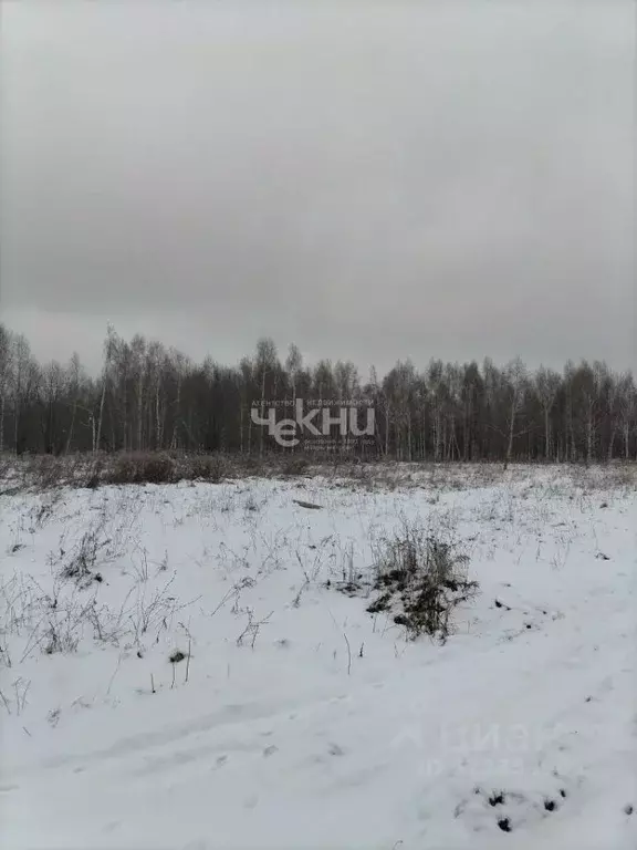 Участок в Нижегородская область, Дальнеконстантиновский муниципальный ... - Фото 0