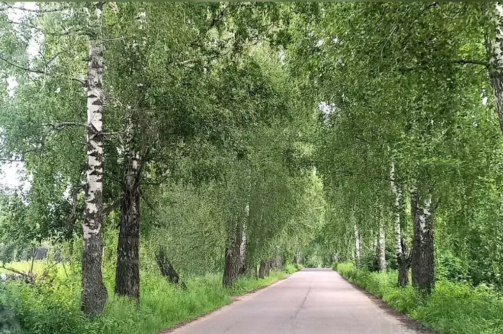 Участок в Орловский муниципальный округ, СНТ Нива, 20-я линия (5.2 м) - Фото 2