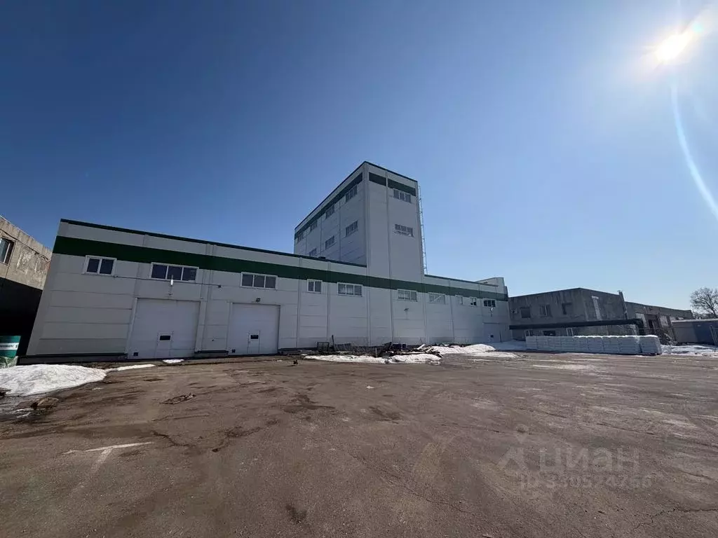 Производственное помещение в Московская область, Богородский городской ... - Фото 1