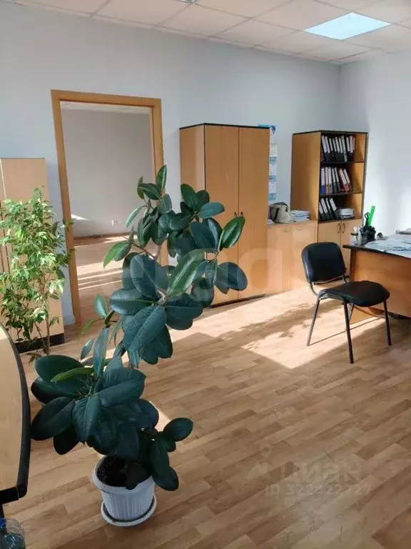 Офис в Тюменская область, Тюмень ул. Баумана, 29 (83 м) - Фото 1