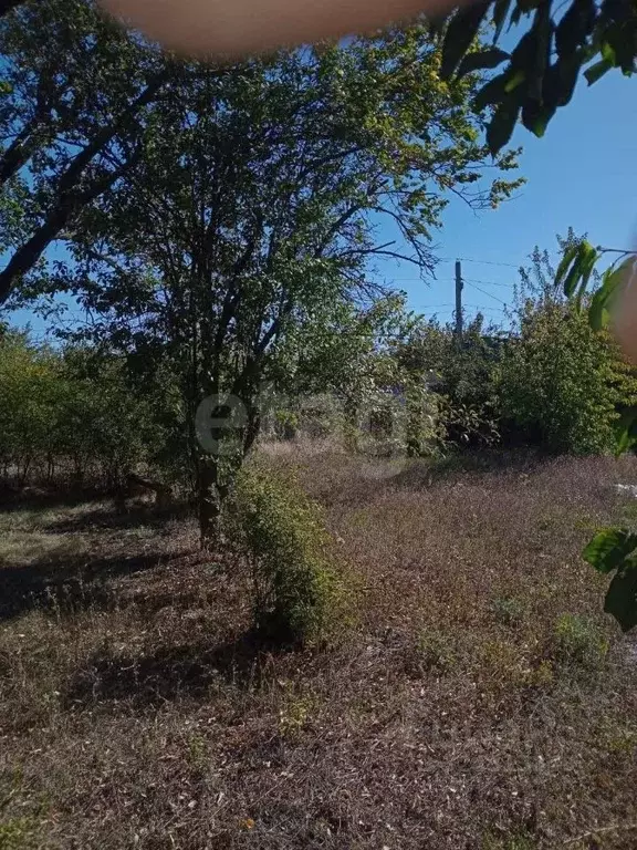 Участок в Ростовская область, Аксайский район, Ольгинское с/пос, ... - Фото 1