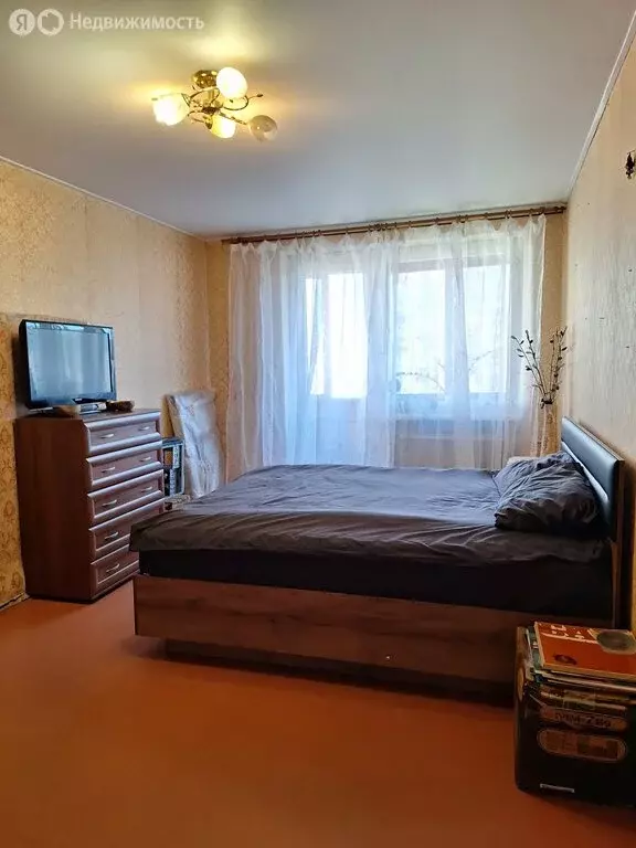 1-комнатная квартира: Санкт-Петербург, проспект Луначарского, 19к1 ... - Фото 1