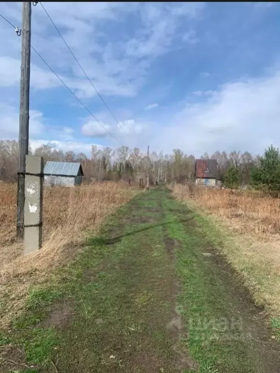 Участок в Алтайский край, Первомайский район, Огоньки СНТ ул. 18-я ... - Фото 0