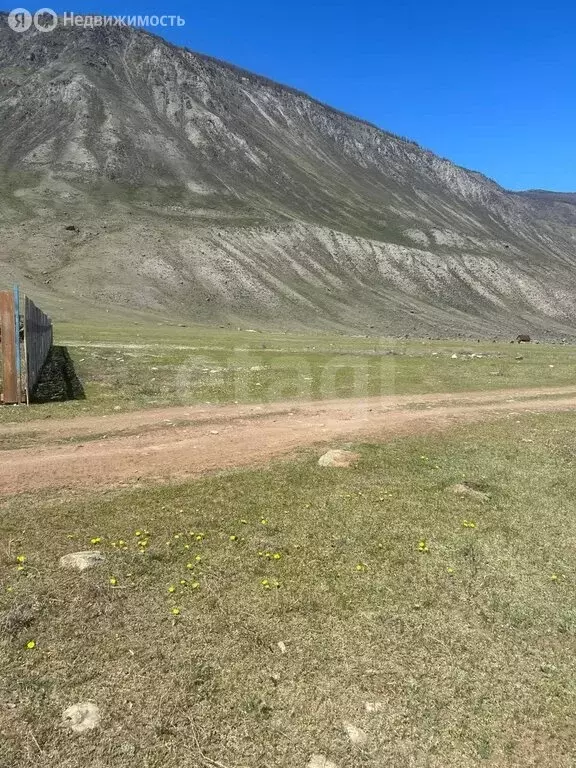 Участок в Улаганский район, село Чибит (31.19 м) - Фото 2