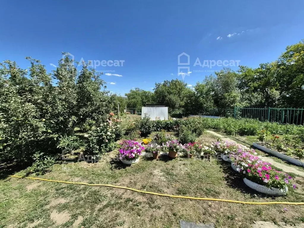 Дом в Волгоградская область, Волгоград Восход СНТ,  (60 м) - Фото 1
