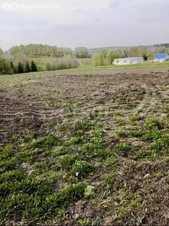 Участок в село Андреевка, улица Николая Островского (13 м) - Фото 0