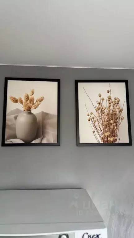 1-к кв. Ярославская область, Ярославль ул. Победы, 13 (31.0 м) - Фото 2