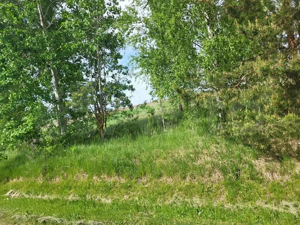 Участок 7,6 сот. (СНТ, ДНП) - Фото 0