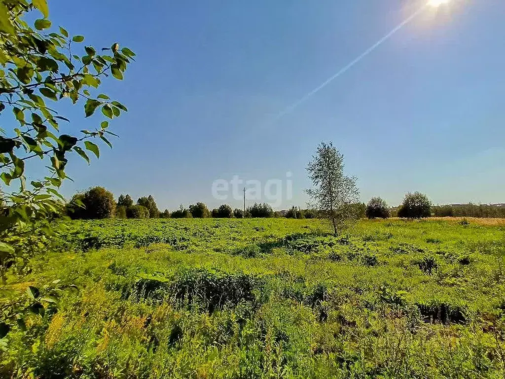 Участок в Ярославская область, Ярославский муниципальный округ, д. ... - Фото 1