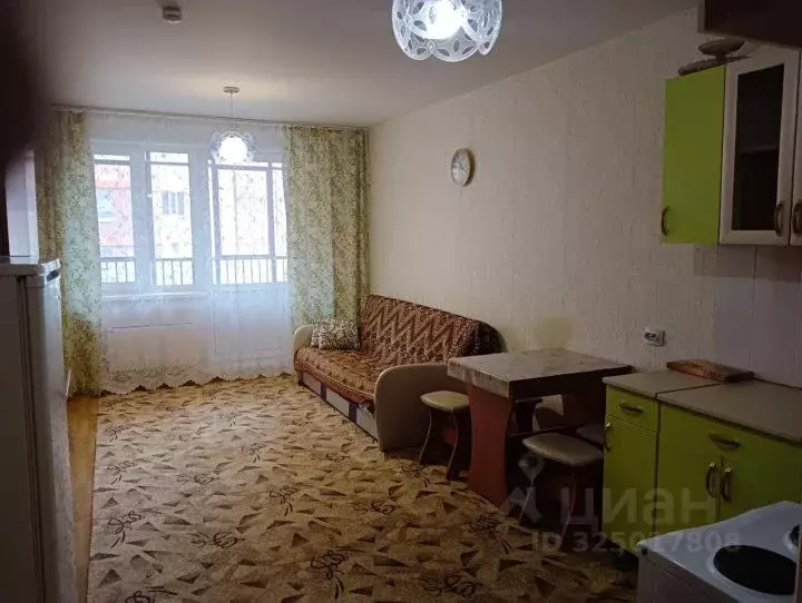 1-к кв. Красноярский край, Красноярск Соколовская ул., 76 (27.0 м) - Фото 1
