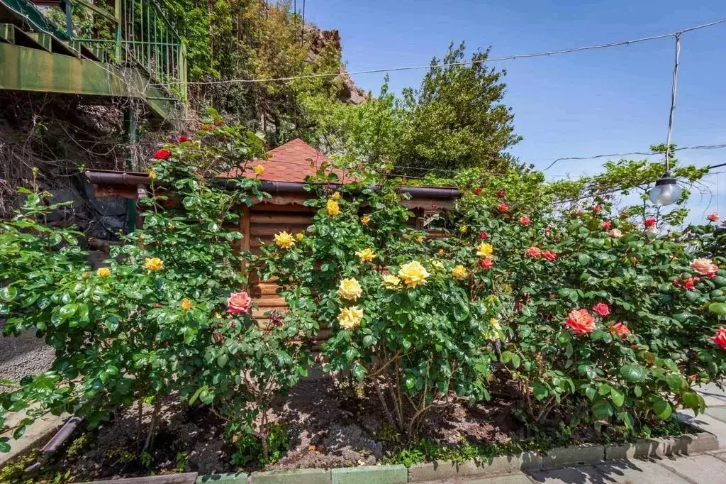 Комната Крым, Алушта городской округ, Партенит пгт ул. Прибрежная, 18 - Фото 1