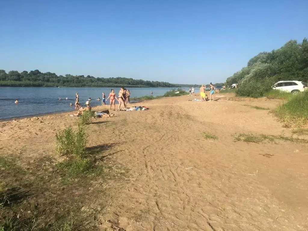 Участок в Тульская область, Ясногорский район, Иваньковское с/пос, д. ... - Фото 1