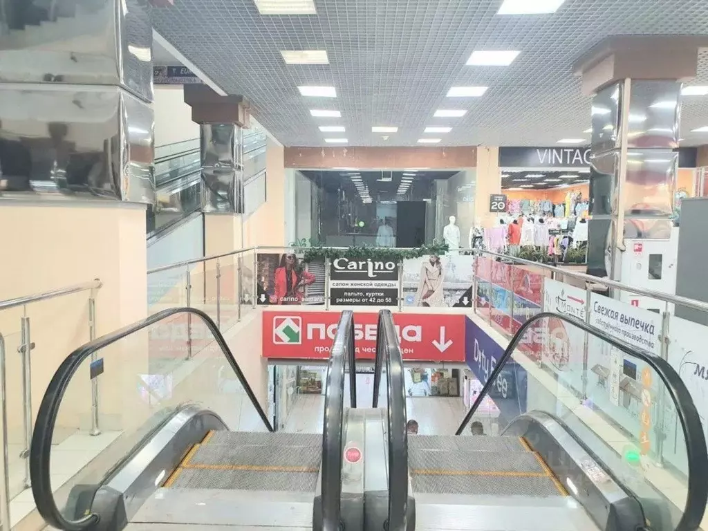 Помещение свободного назначения в Самарская область, Самара Заводское ... - Фото 2