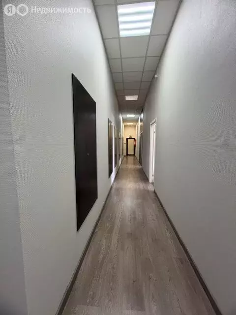 Офис (113.5 м) - Фото 1