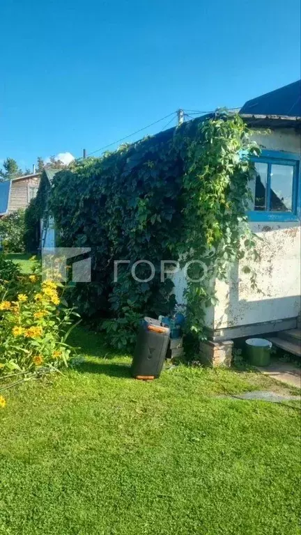 Дом в Новосибирская область, Колыванский район, Печать СНТ  (40 м) - Фото 1