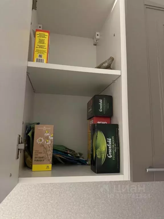 1-к кв. Нижегородская область, Нижний Новгород 2-я Оранжерейная ул., ... - Фото 2