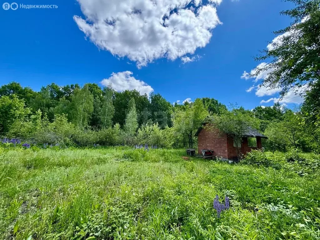 Участок в Саранск, СТ Силовик завода Сарансккабель (5.5 м) - Фото 1