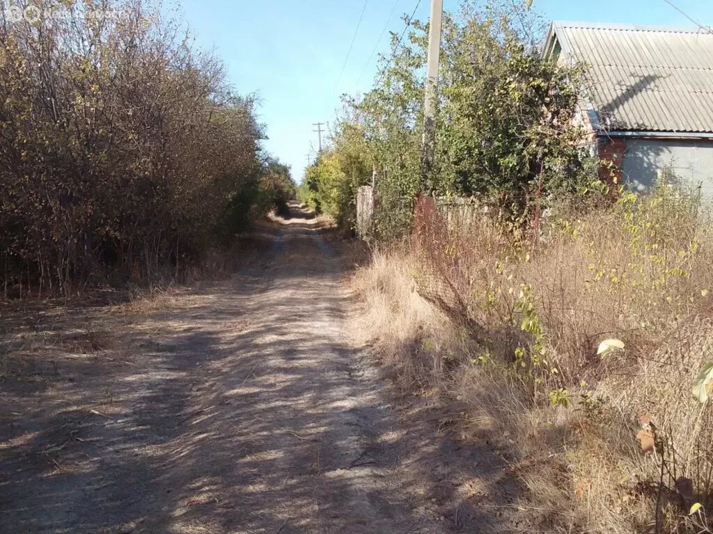 Участок в посёлок Широчанка, садовое товарищество Янтарный (5 м) - Фото 1