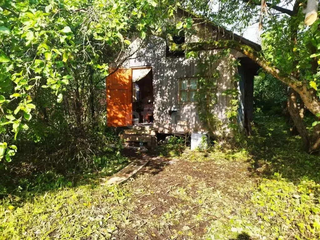 Участок в Санкт-Петербург Победа СНТ, ул. Связи, 109 (5.01 сот.) - Фото 1