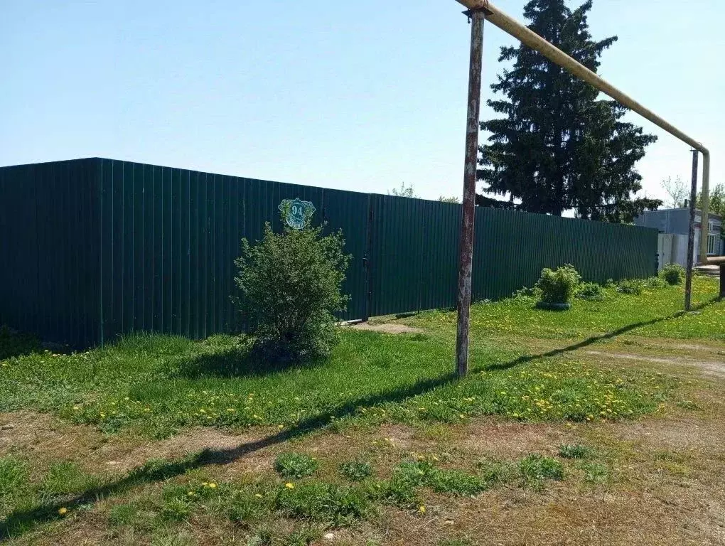Участок в Челябинская область, Каслинский муниципальный округ, с. ... - Фото 1
