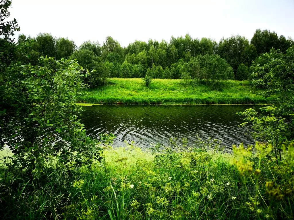 Участок в Тверская область, Конаковский муниципальный округ, д. ... - Фото 0