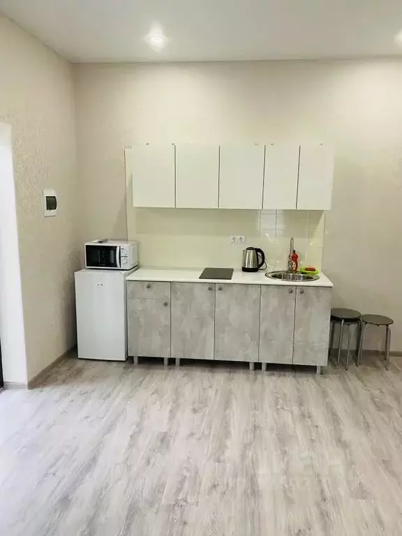 1-к кв. Краснодарский край, Геленджик городской округ, Джанхот хут. ... - Фото 2