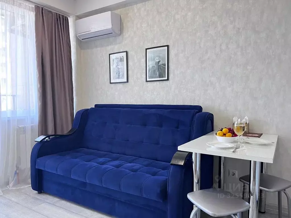 Студия Краснодарский край, Сочи городской округ, Дагомыс пгт ул. ... - Фото 1