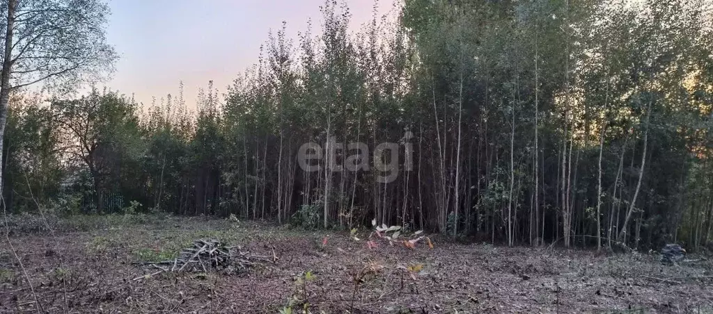 участок в ярославская область, некрасовское рп ул. молодежная (12.0 . - Фото 0