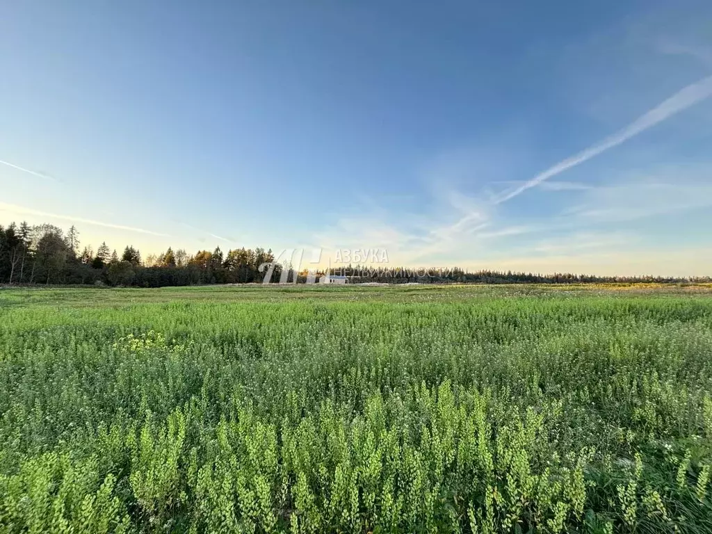 Участок в Московская область, Истра городской округ, Прилесные дачи кп ... - Фото 0