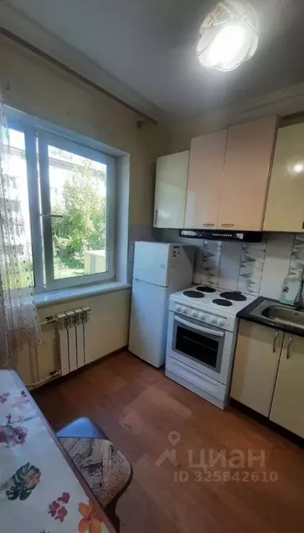 1-к кв. Иркутская область, Иркутск ул. Розы Люксембург, 283 (31.0 м) - Фото 2