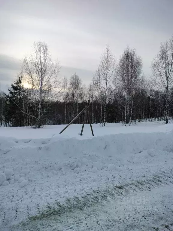 Участок в Новосибирская область, Новосибирский район, Барышевский ... - Фото 1