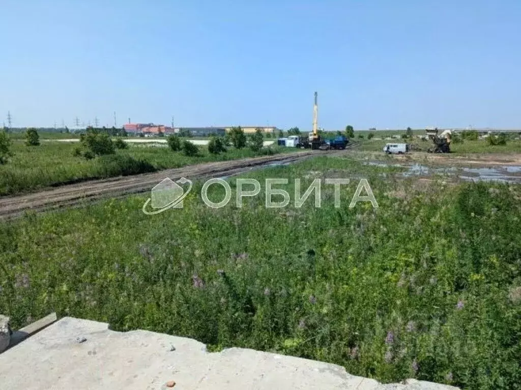 Участок в Тюменская область, Тюменский муниципальный округ, д. ... - Фото 2