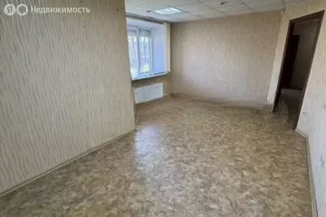 Помещение свободного назначения (55.8 м) - Фото 1