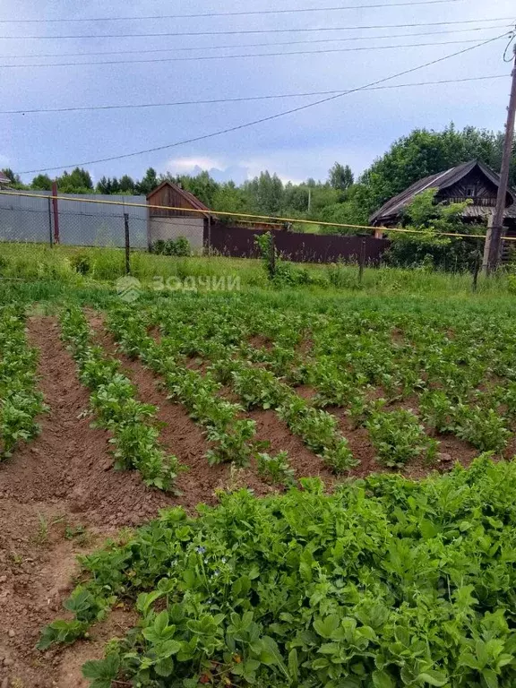 Участок в Чувашия, Чебоксарский муниципальный округ, д. Сархорн ул. ... - Фото 1