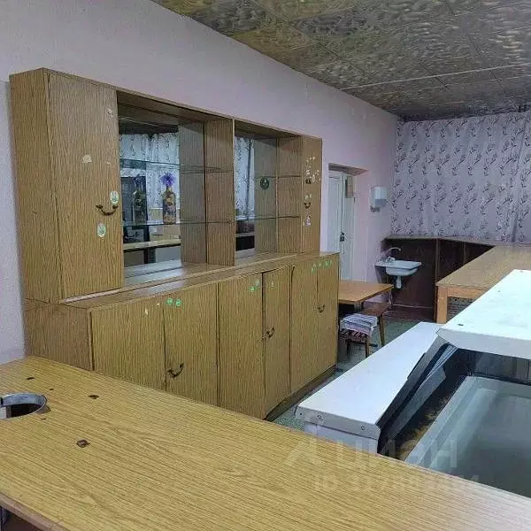 Помещение свободного назначения в Омская область, Омск ул. Лизы ... - Фото 1
