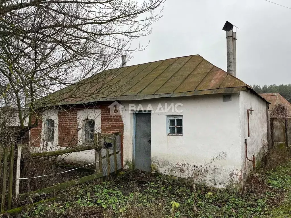Дом в Липецкая область, Грязинский муниципальный округ, с. Плеханово ... - Фото 1