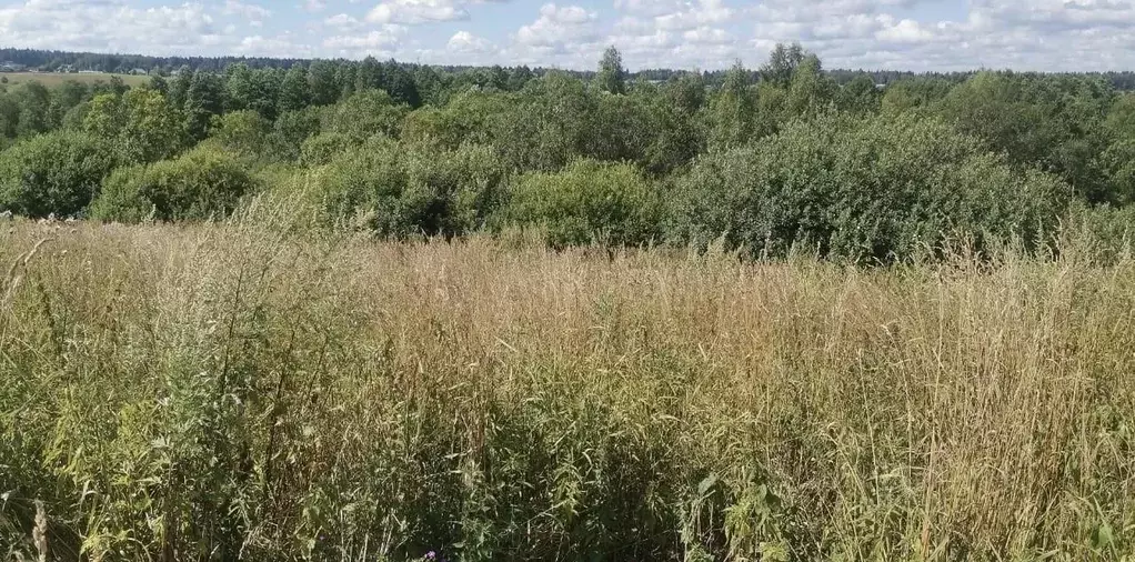 Участок в Московская область, Истра  (14.52 сот.) - Фото 0