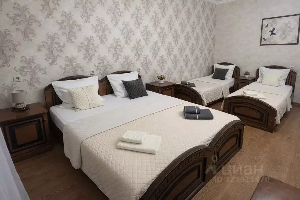 Комната Краснодарский край, Сочи ул. Мира, 23/7 - Фото 1