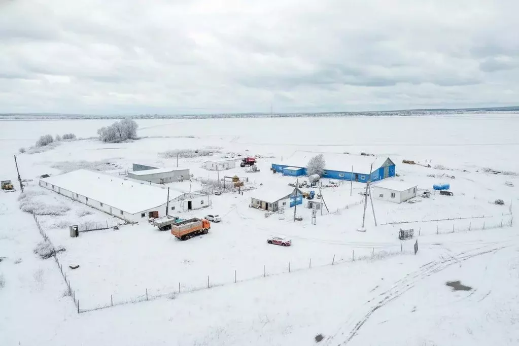 Производственное помещение в Оренбургская область, Октябрьский район, ... - Фото 1